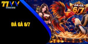 Đá Gà 6/7