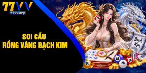 Soi Cầu Rồng Vàng Bạch Kim